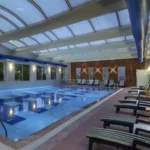 Trendy-palm-indoor-pool-1-1024x512