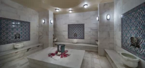 trendy-side-spa-banner