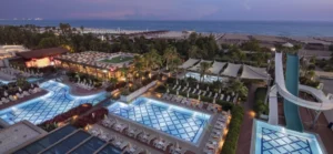 trendy-verbena-beach-pool-banner-1024x474-1.webp